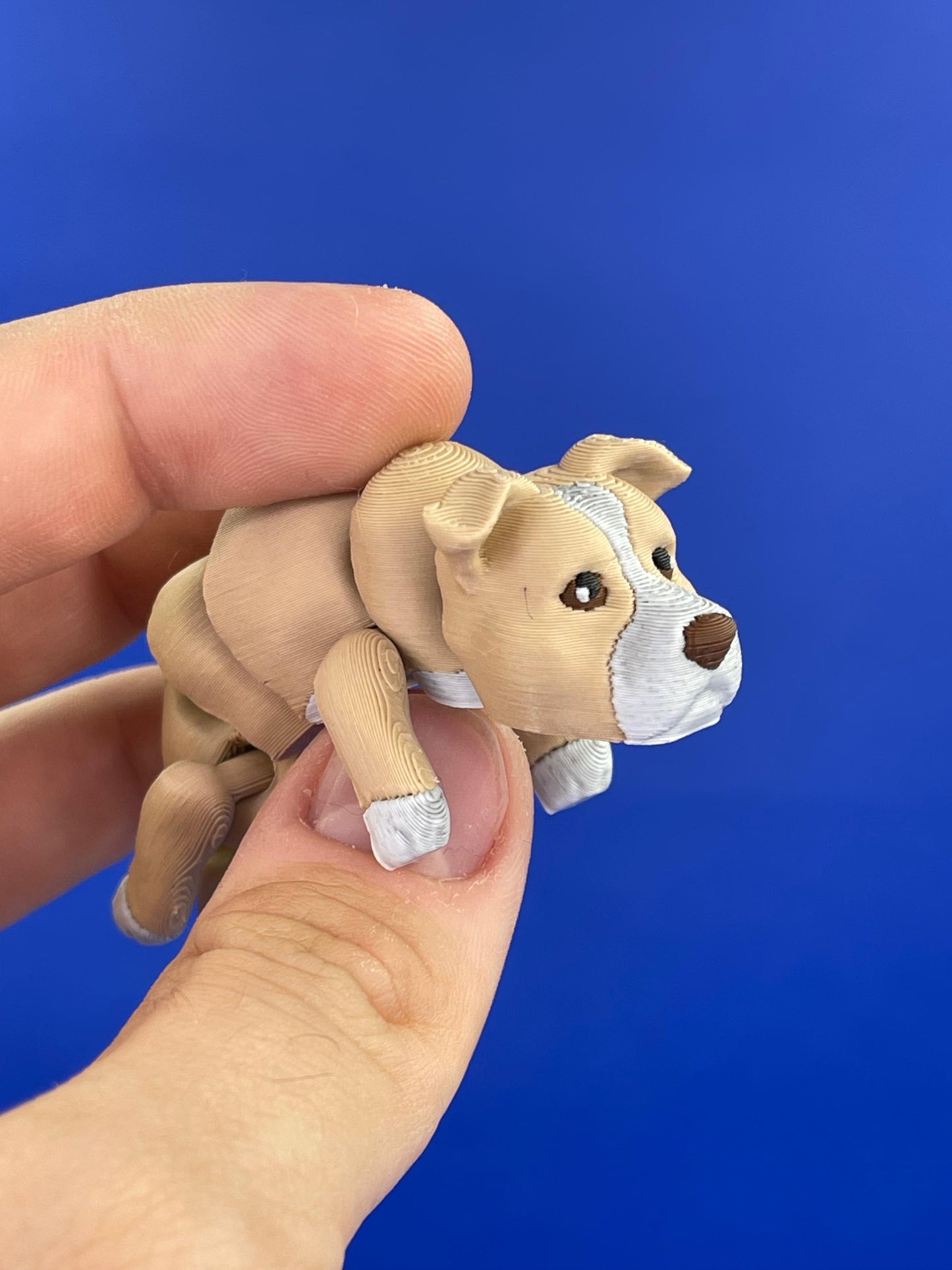 Breloc Pitbull
