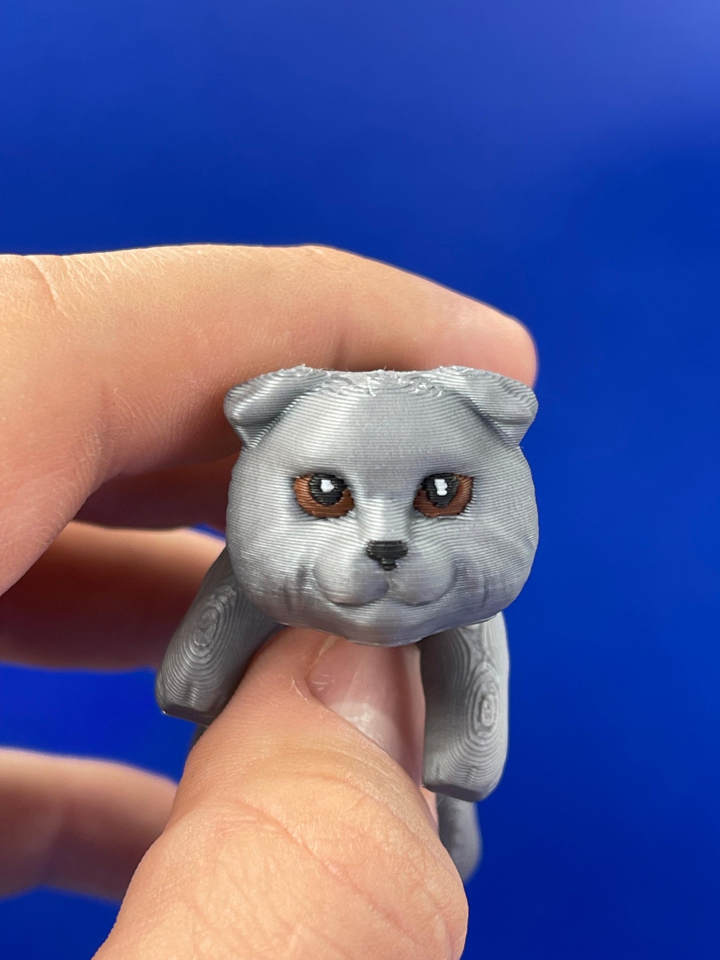 Breloc Scottish Fold