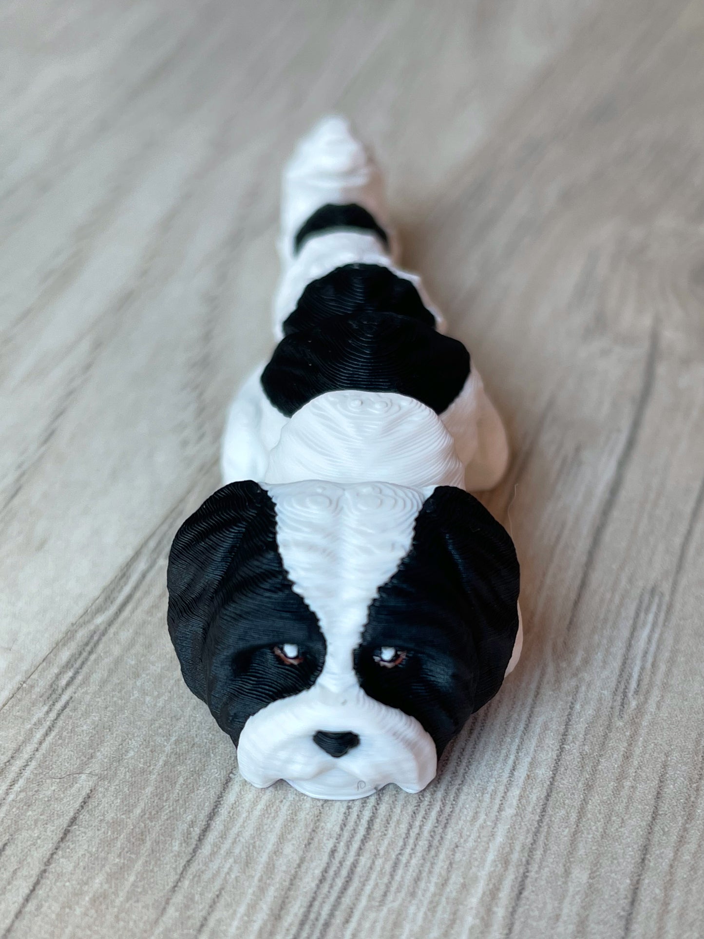 Breloc Shi Tzu